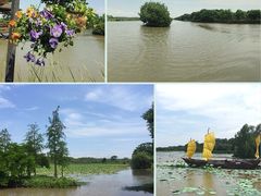 南沙湿地公园-大湾区中央湿地公园