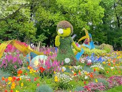 -上海共青森林公园