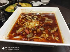 -刘胖子家常菜·蹄花焖藕(中南店)
