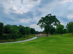 -盘龙城国家考古遗址公园