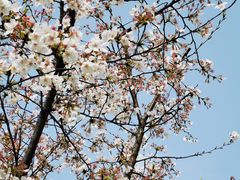 -UNIUNI(凯瑟琳广场店)