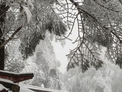 -峨眉山风景名胜区