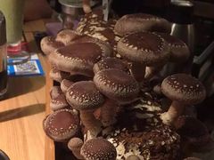 -大头椰·椰子鸡火锅(南宁万象城店)