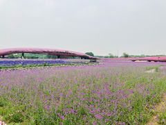 -江苏三台山国家森林公园