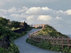 -涉地可支