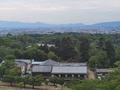 -奈良公园