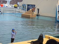 -秦皇岛乐岛海洋王国