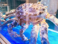 -海底捞大排档火锅(悦荟广场店)