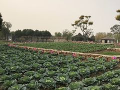 -嬉乐湾休闲旅游区