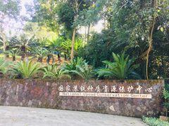 -深圳仙湖植物园-停车场