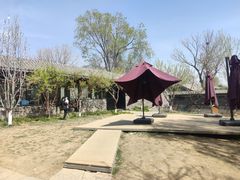 -春风习习