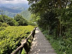 -梧桐山风景名胜区