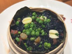 -觀芷隐轩