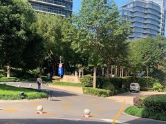 -小团圆灶台鱼·百城头牌菜(千岛湖店)
