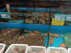 -中苑海韵