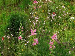 -前葛村基层文化宫