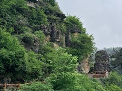 -王莽岭风景区