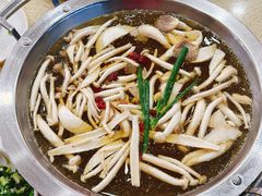 菌类小锅-芭夯兔·无骨兔汤锅(华阳店)
