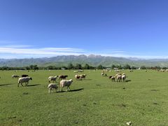 -新疆那拉提国家旅游度假区