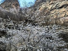 -龙门涧景区