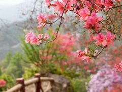 -岳西天峡风景区
