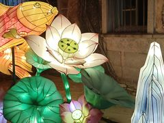 -阿芬卤面(花巷店)