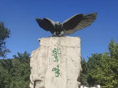 -北京鹫峰国家森林公园