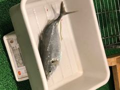 -ジャンボ釣船 つり吉(新世界店)