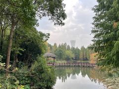 -上海滨江森林公园