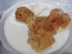-义顺牛奶公司(新马路老店)