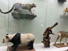 -国家自然博物馆