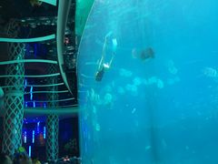 -瑞德姆美人鱼海底演艺主题餐厅(亚龙湾店)
