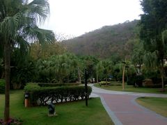 android_upload_pic-三亚亚龙湾凯莱仙人掌度假酒店