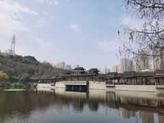 -重庆彩云湖湿地公园
