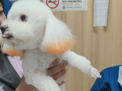 -宠福鑫康馨动物医院·骨科·眼科