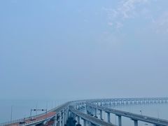 -星海湾跨海大桥