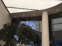 -Apple零售店(济南恒隆广场店)