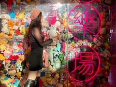 -BIG PINK大粉娃娃机主题馆(圆融星座店)