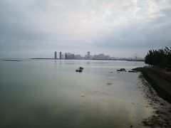 -万绿园