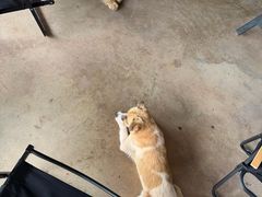 -Torch Coffee 炬点咖啡