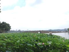 -杭州伊美大酒店