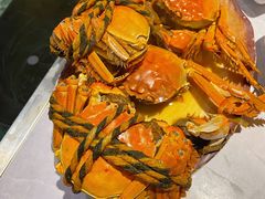 -一绪に寿喜烧自助(世茂广场店)