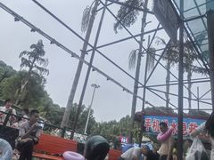 -重庆海昌加勒比海水世界