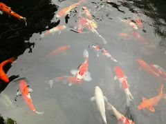 -顺德了能馆(虎门店)