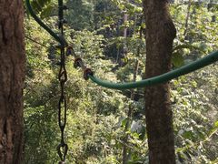 -清迈丛林飞跃 JungleFlight