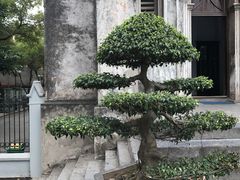 -圣约瑟夫大教堂
