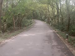 -春兰国宾馆(凤城河风景区老街店)