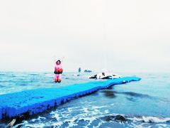 -碣石国家级海洋公园