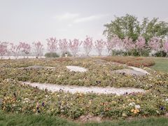 -福建鲤鱼洲酒店