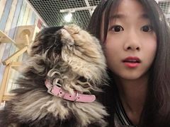 -小时光咖啡馆(开森度假森林店)